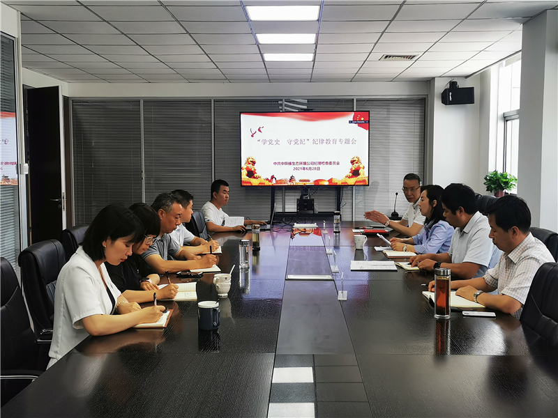 公司纪委召开“学党史 守党纪”纪律教育专题会