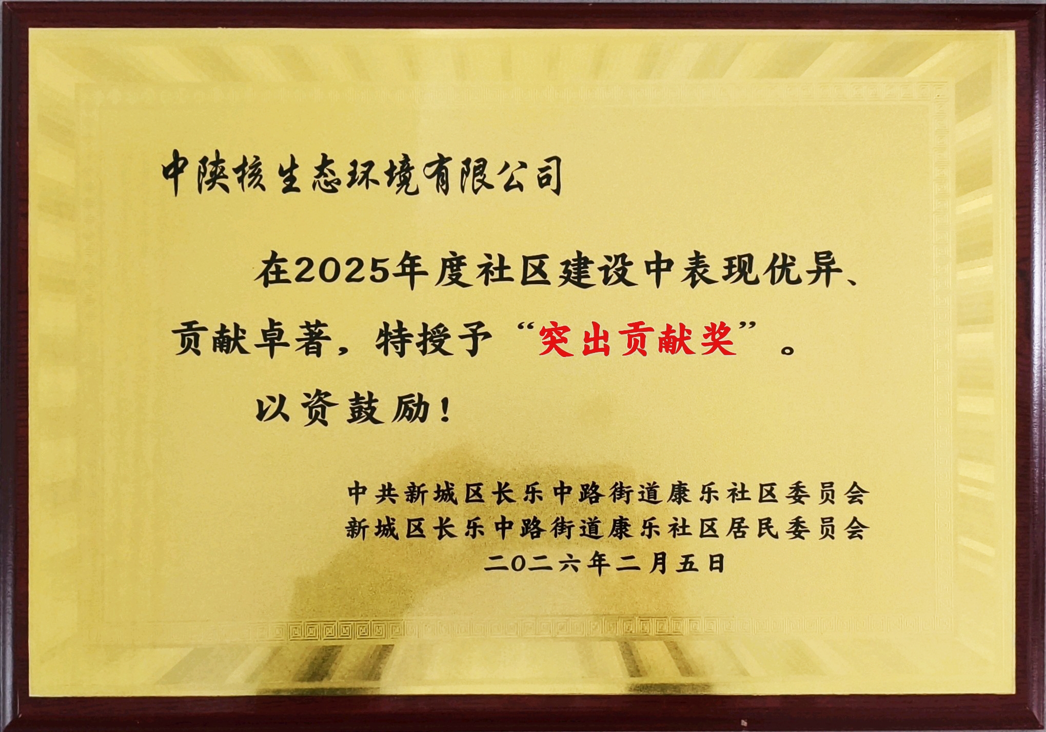 【标杆项目・荣誉】中陕核生态公司医康养项目树标杆，斩获社区“突出贡献奖”